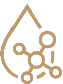 ClearChoice